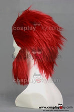 Laden Sie das Bild in den Galerie-Viewer, Fate/Zero Rider Cosplay Perücke with Full Beard